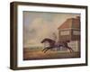 'Mr. Ogilvy's Bay Racehorse Trentham at Newmarket with Jockey up', 1771-George Stubbs-Framed Giclee Print