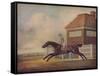 'Mr. Ogilvy's Bay Racehorse Trentham at Newmarket with Jockey up', 1771-George Stubbs-Framed Stretched Canvas