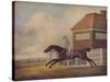 'Mr. Ogilvy's Bay Racehorse Trentham at Newmarket with Jockey up', 1771-George Stubbs-Stretched Canvas