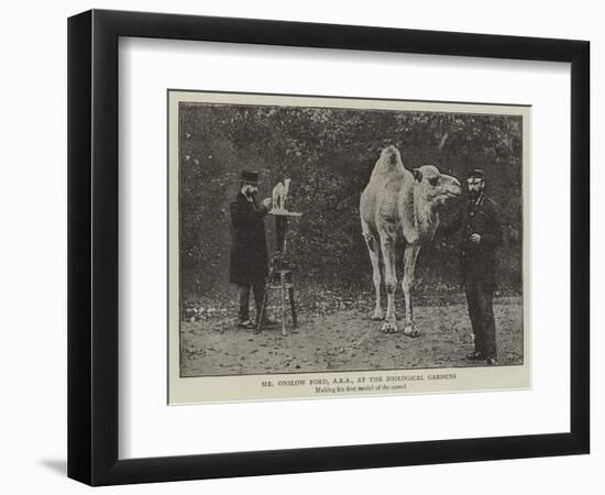 Mr Onslow Ford, Ara, at the Zoological Gardens-null-Framed Premium Giclee Print