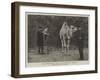 Mr Onslow Ford, Ara, at the Zoological Gardens-null-Framed Giclee Print