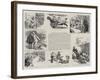 Mr Pease Greene and the Celestial Ducklings-Frederick Henry Townsend-Framed Giclee Print