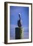 Mr. Pelican I-Alan Hausenflock-Framed Photographic Print