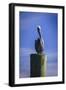 Mr. Pelican I-Alan Hausenflock-Framed Photographic Print