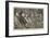 Mr Pennington's Reading, a Sketch at the Premier's House-null-Framed Giclee Print