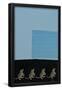 Essential Black