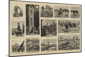 Mr Plantagenet Trot and His Dogs-null-Mounted Giclee Print
