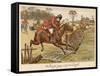 Mr Popple Jumps Gate-null-Framed Stretched Canvas