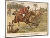 Mr Popple Jumps Gate-null-Mounted Art Print