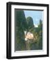 Mr Potter's Pigeon-Reg Cartwright-Framed Giclee Print