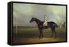 Mr. R.O. Gascoigne's 'Jerry' with B. Smith Up on Doncaster Racecourse-David Dalby of York-Framed Stretched Canvas