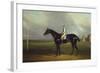 Mr. R.O. Gascoigne's 'Jerry' with B. Smith Up on Doncaster Racecourse-David Dalby of York-Framed Giclee Print