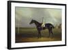 Mr. R.O. Gascoigne's 'Jerry' with B. Smith Up on Doncaster Racecourse-David Dalby of York-Framed Giclee Print