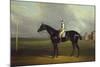 Mr. R.O. Gascoigne's 'Jerry' with B. Smith Up on Doncaster Racecourse-David Dalby of York-Mounted Giclee Print