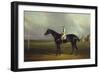 Mr. R.O. Gascoigne's 'Jerry' with B. Smith Up on Doncaster Racecourse-David Dalby of York-Framed Giclee Print