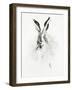 Mr. Rabbit-Alexis Marcou-Framed Art Print