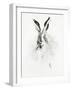 Mr. Rabbit-Alexis Marcou-Framed Art Print