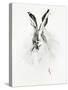 Mr. Rabbit-Alexis Marcou-Stretched Canvas