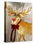 Mr. Reindeer-Ruth Palmer 3-Stretched Canvas