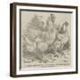 Mr Reynolds's Prize Cochin-China Fowls-Harrison William Weir-Framed Giclee Print