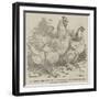 Mr Reynolds's Prize Cochin-China Fowls-Harrison William Weir-Framed Giclee Print