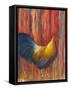 Mr. Rooster-Michelle Faber-Framed Stretched Canvas