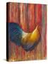 Mr. Rooster-Michelle Faber-Stretched Canvas