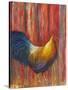 Mr. Rooster-Michelle Faber-Stretched Canvas