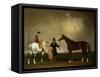Mr Sadler's 'Decisive' Held by His Trainer with the Jockey John Day Jnr., Stockbridge Racecourse,…-George Cole-Framed Stretched Canvas