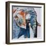 Mr. Silver Hair-Angela Maritz-Framed Giclee Print