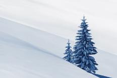 Wooden House in Winter Forest-mr. Smith-Photographic Print