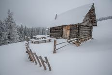 Wooden House in Winter Forest-mr. Smith-Stretched Canvas