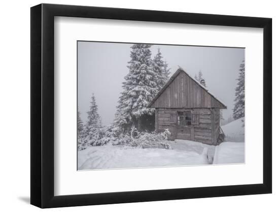 Premium Photographic Print, , large