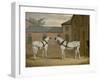 Mr. Sowerby's Grey Carriage Horses in His Coachyard at Putteridge Bury, Hertfordshire, 1836-John Frederick Herring Snr-Framed Giclee Print