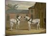 Mr. Sowerby's Grey Carriage Horses in His Coachyard at Putteridge Bury, Hertfordshire, 1836-John Frederick Herring Snr-Mounted Giclee Print