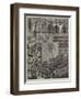 Mr Stanley at the Albert Hall-null-Framed Giclee Print