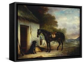 Mr Stuart's Favourite Hunter, Vagabond and His Flatcoated Retriever, Nell by a Cottage Door-John Ferneley, Sr-Framed Stretched Canvas