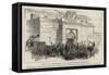 Mr T D Sullivan, Mp, Lord Mayor of Dublin-null-Framed Stretched Canvas