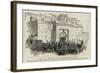 Mr T D Sullivan, Mp, Lord Mayor of Dublin-null-Framed Giclee Print