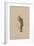 Mr Tulkinghorn, C.1920s-Joseph Clayton Clarke-Framed Giclee Print