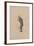 Mr Tulkinghorn, C.1920s-Joseph Clayton Clarke-Framed Giclee Print