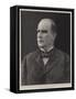 Mr William Mckinley, the Newly Elected President of the United States-null-Framed Stretched Canvas