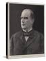 Mr William Mckinley, the Newly Elected President of the United States-null-Stretched Canvas