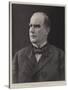 Mr William Mckinley, the Newly Elected President of the United States-null-Stretched Canvas