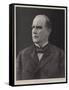 Mr William Mckinley, the Newly Elected President of the United States-null-Framed Stretched Canvas