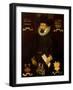 Mr William Windover of New Sarum, 1633-F. Lovibond-Framed Giclee Print