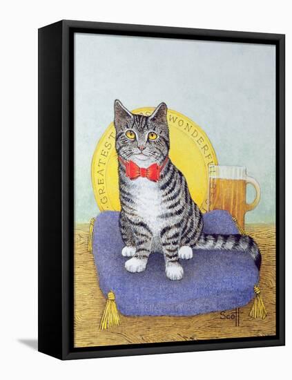 Mr Wonderful-Pat Scott-Framed Stretched Canvas