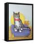 Mr Wonderful-Pat Scott-Framed Stretched Canvas