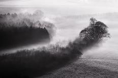 Black and White Mist Landscape-MrEco99-Framed Photographic Print
