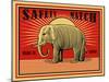 MRoagn Elephant Matches-Mark Rogan-Mounted Art Print